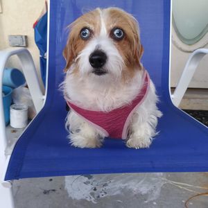 Meet your Posher, Janet